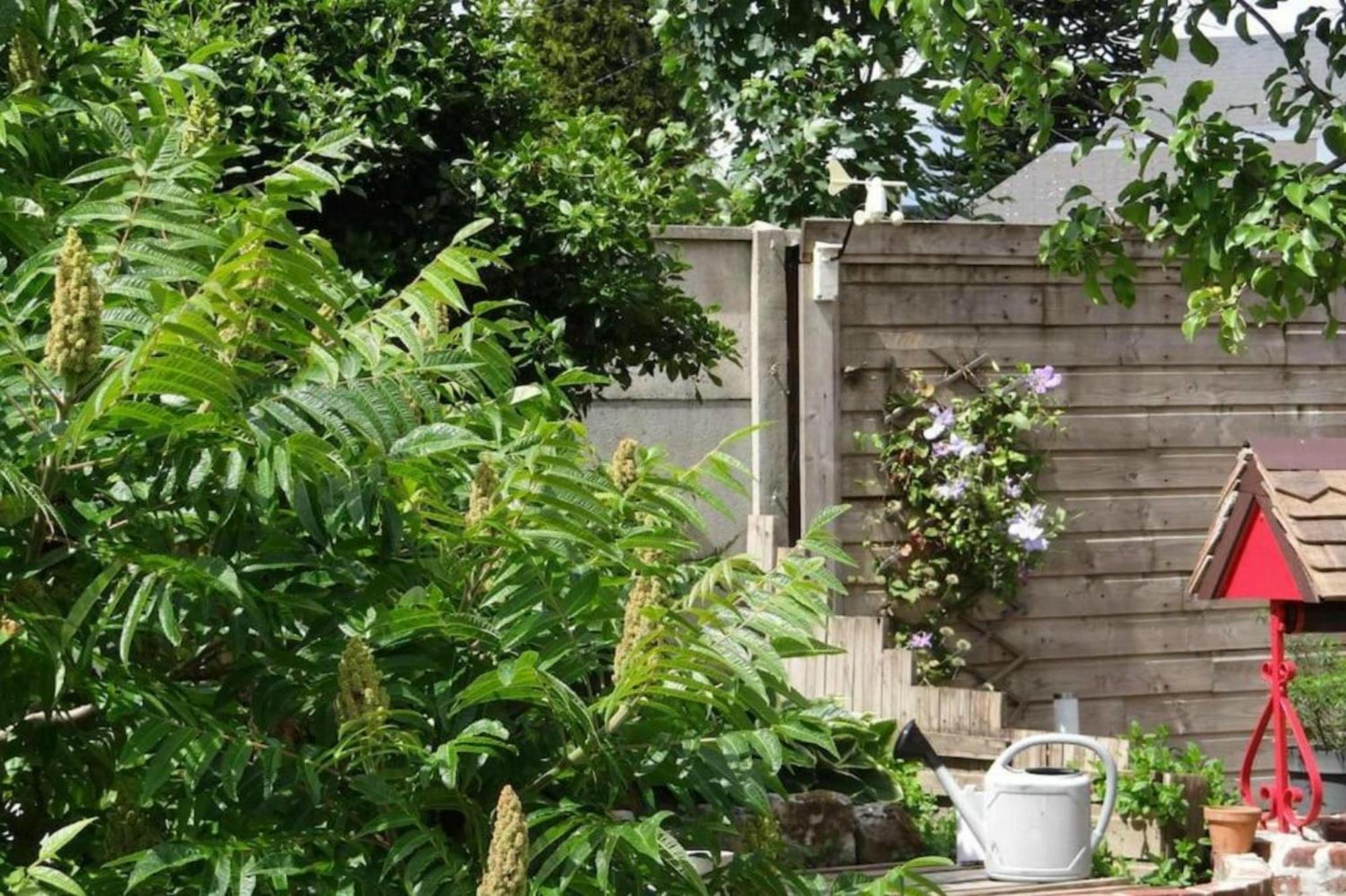 Clos Des Paquerettes : Maison Avec Jardin Privatif Ивто Екстериор снимка
